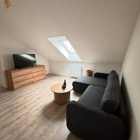 Radbuza Apartment Plzen